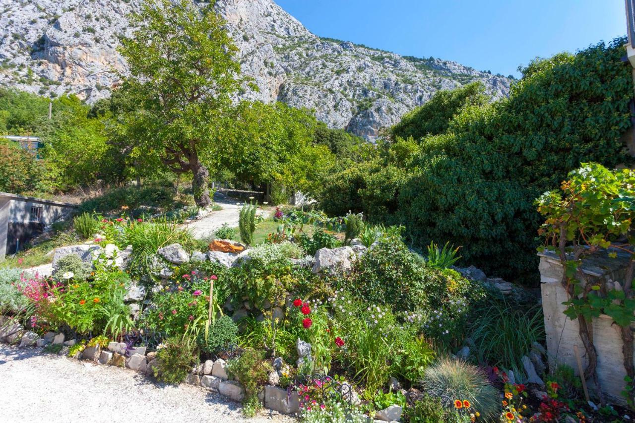 Holiday Home Lavanda Grubisic Tucepi Luaran gambar